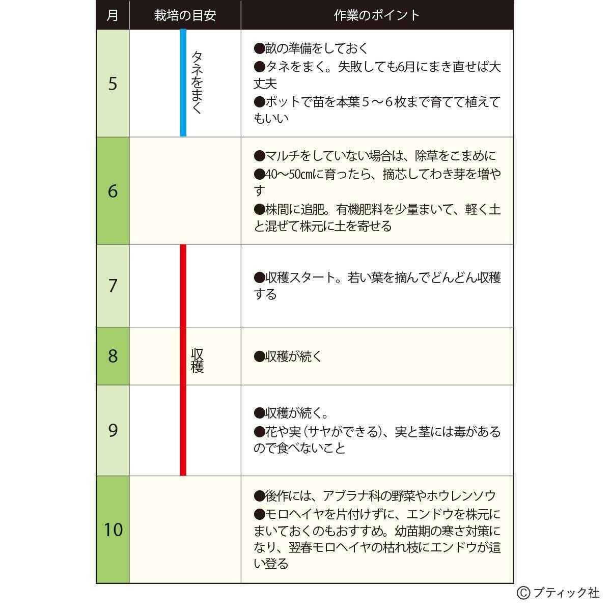 「モロヘイヤ」の育て方・コツ（家庭菜園）