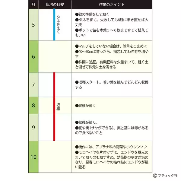 「「モロヘイヤ」の育て方・コツ（家庭菜園）」の画像