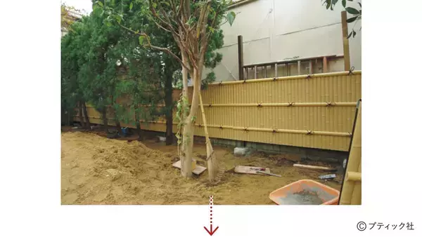 「和風の庭づくりの素材「コケ」を解説！」の画像