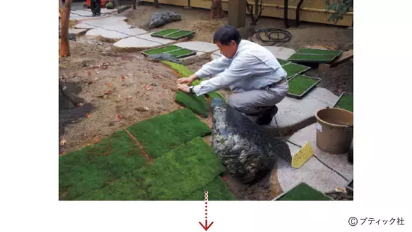 「和風の庭づくりの素材「コケ」を解説！」の画像