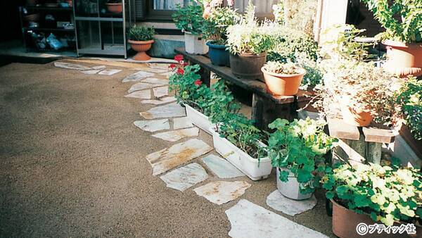 真砂土舗装材でローメンテナンスの庭をつくる やり方 21年4月19日 エキサイトニュース