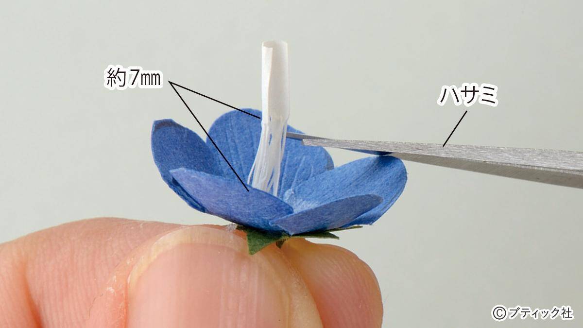 ペーパークラフトのお花 ネモフィラ の作り方 21年2月5日 エキサイトニュース 2 3