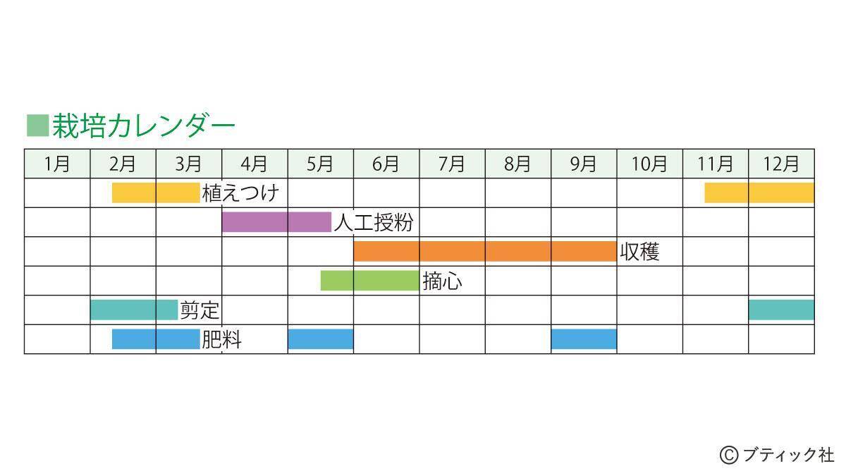 ブルーベリー の育て方 栽培のコツ 果物 家庭菜園 21年6月10日 エキサイトニュース