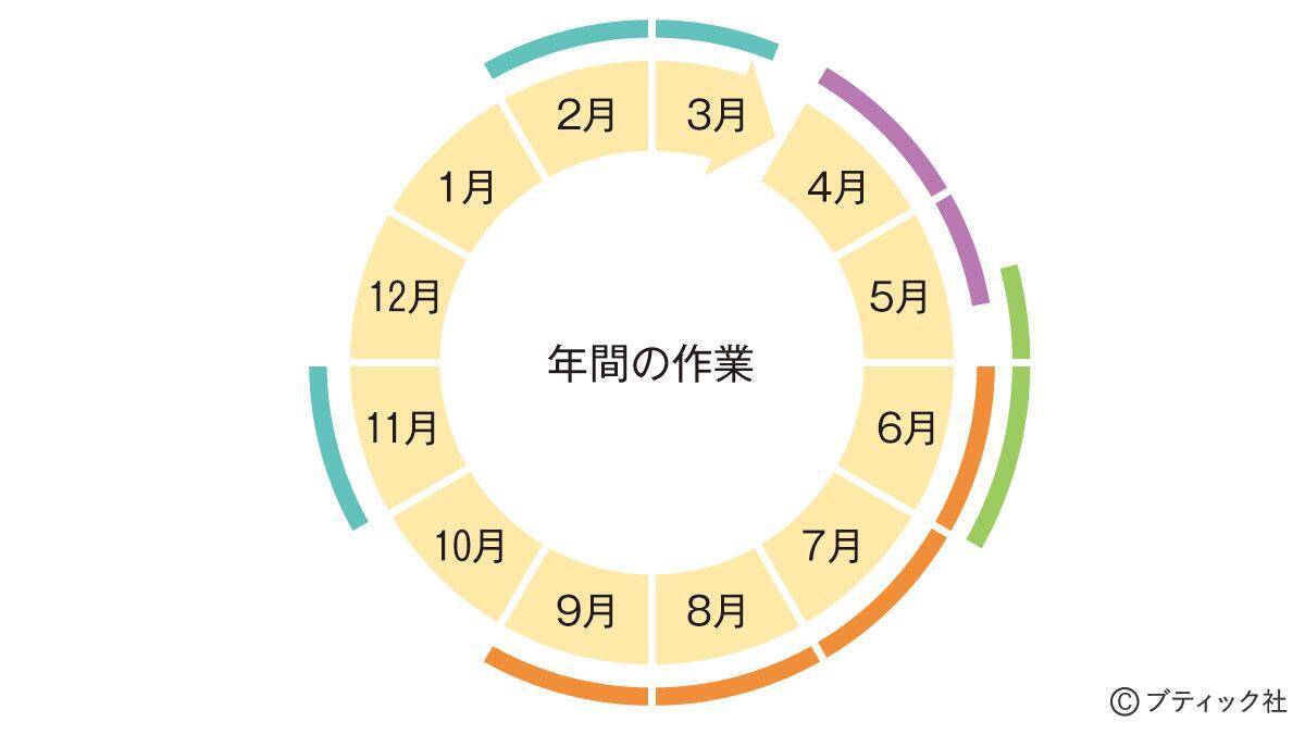 ブルーベリー の育て方 栽培のコツ 果物 家庭菜園 21年6月10日 エキサイトニュース