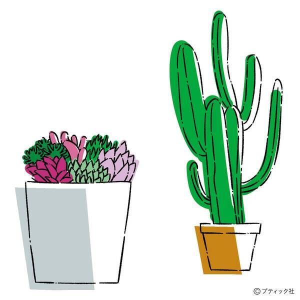 今知りたい 人気の観葉植物 選び方のコツを解説 21年8月日 エキサイトニュース