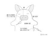 「海外風ぬいぐるみ「ブタ」の作り方」の画像11