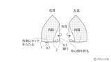 「海外風ぬいぐるみ「ブタ」の作り方」の画像6