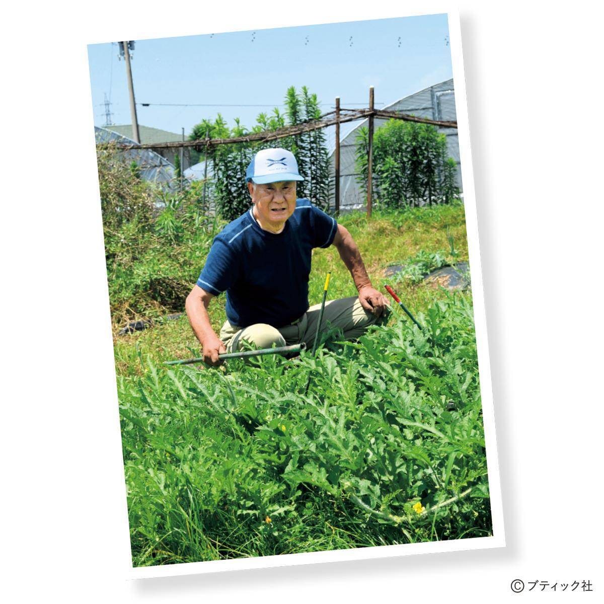 私たちが“畑の先輩”から教わったこと 覚えておきたい金の言葉