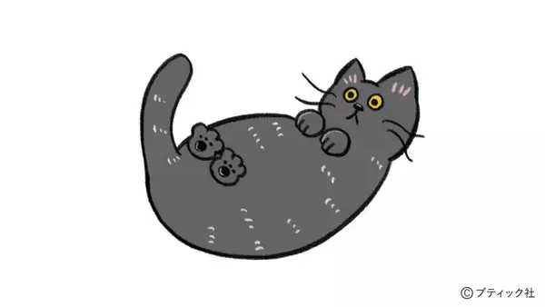 「ねこだらけのマンダラぬりえ「Coffee time」」の画像