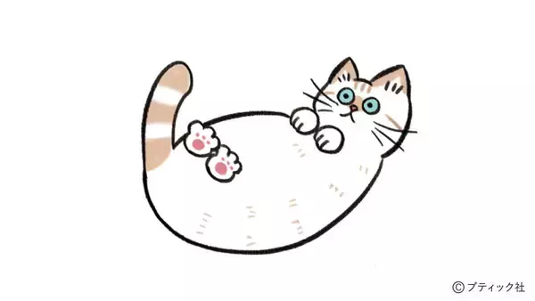 「ねこだらけのマンダラぬりえ「Coffee time」」の画像