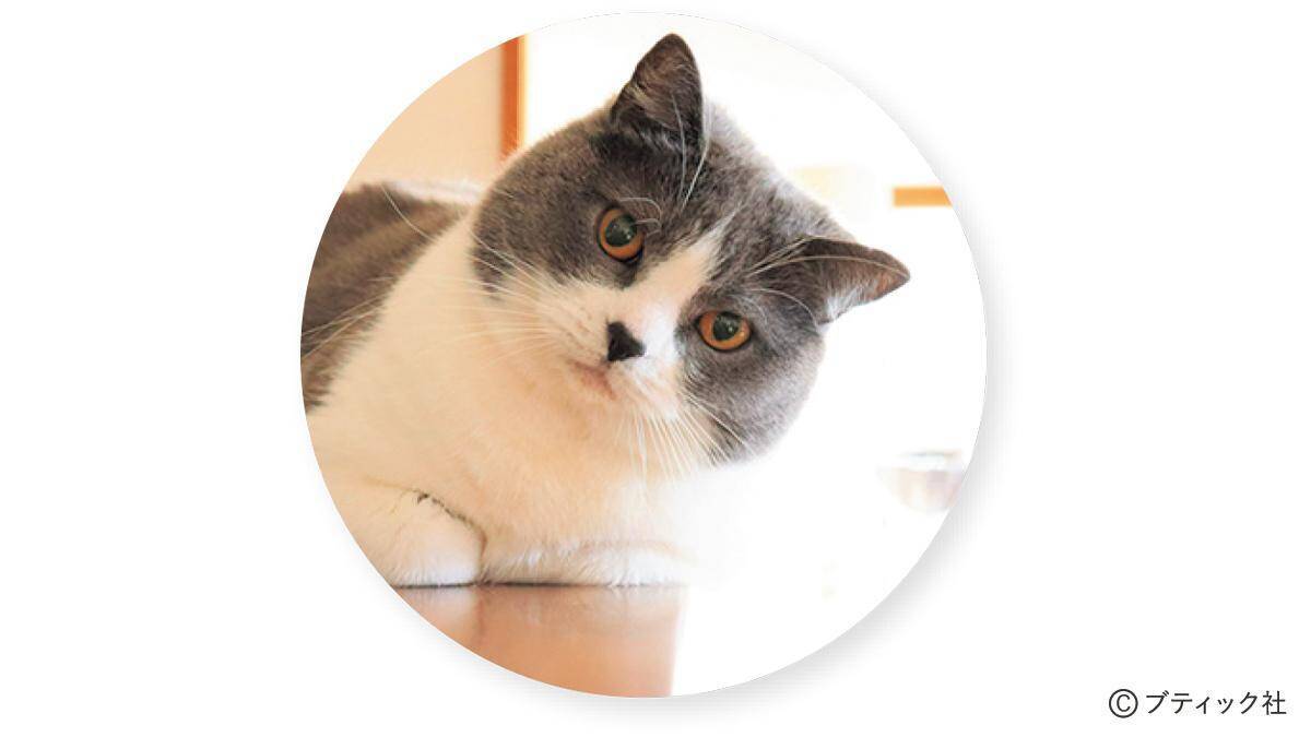 パッチワークキルト「ネコ好きのあの人に」の作り方