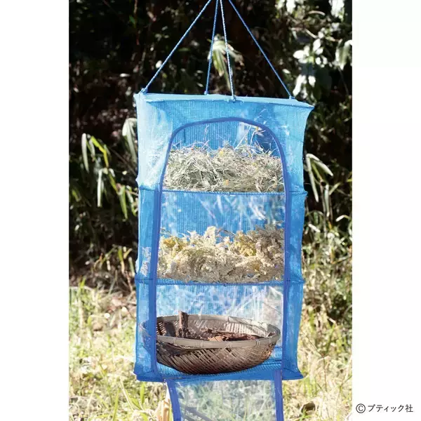 「採集した染材の保存方法（草木染め）」の画像