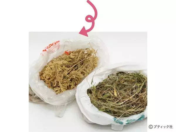 「採集した染材の保存方法（草木染め）」の画像