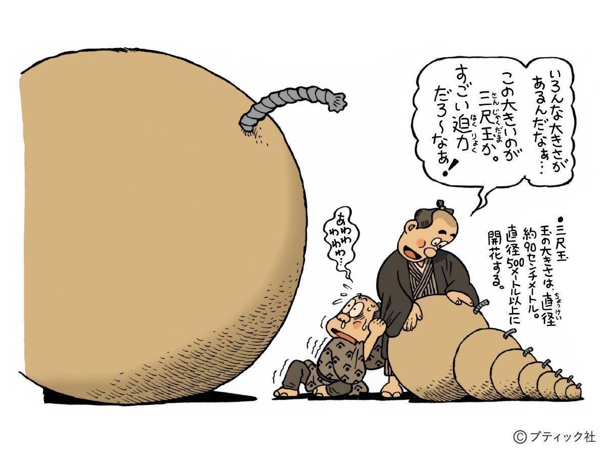 江戸を学べる「絵解読」で遊ぼう！（クイズ）