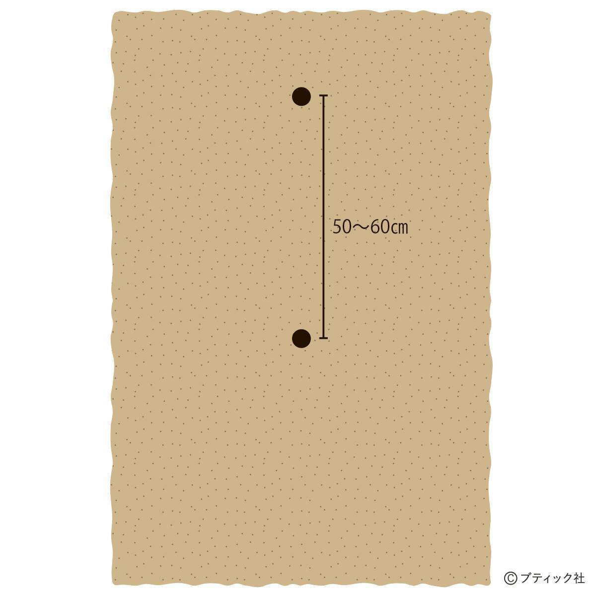 「ミョウガ」育て方・コツ（家庭菜園）