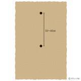 「「ミョウガ」育て方・コツ（家庭菜園）」の画像3