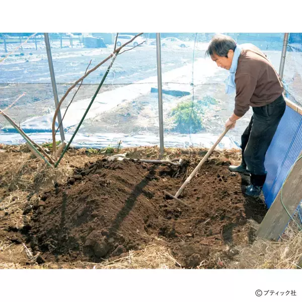 「ゴボウのアイデア栽培「収穫がラクな“波板斜め栽培”」」の画像