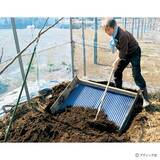 「ゴボウのアイデア栽培「収穫がラクな“波板斜め栽培”」」の画像3