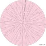 「ニットフラワー「チューリップ」の作り方」の画像6