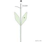 「ニットフラワー「チューリップ」の作り方」の画像9