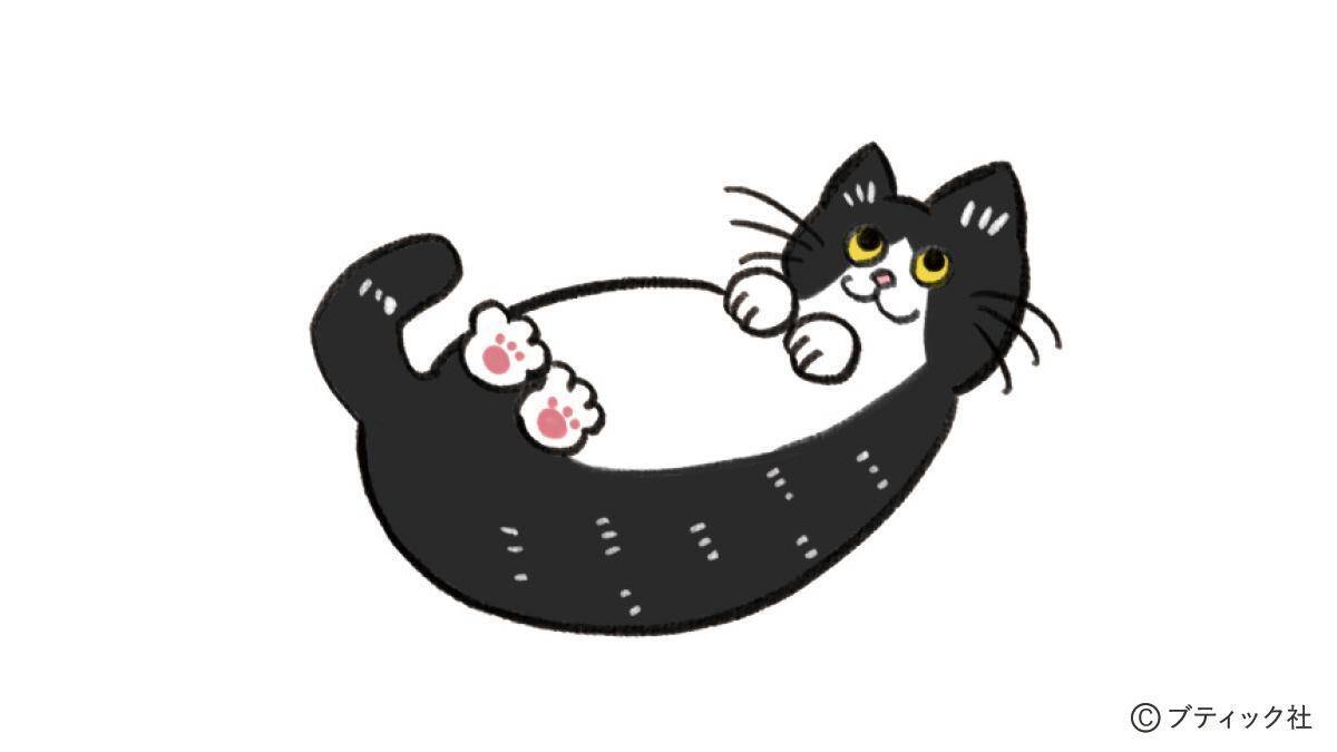 ねこだらけのマンダラぬりえ「雨の日だってHappy」