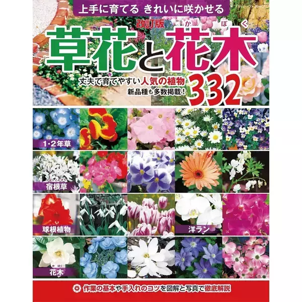 「「サルスベリ」の育て方」の画像
