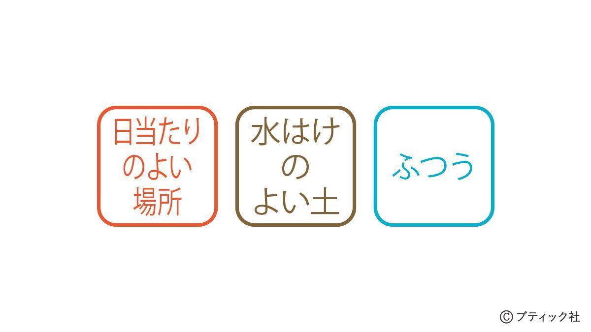 「サルスベリ」の育て方