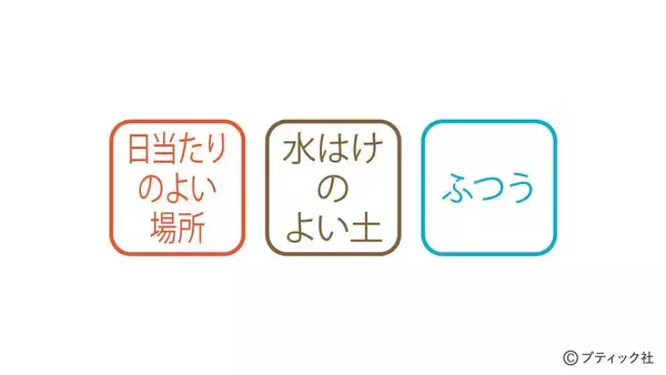 「「サルスベリ」の育て方」の画像