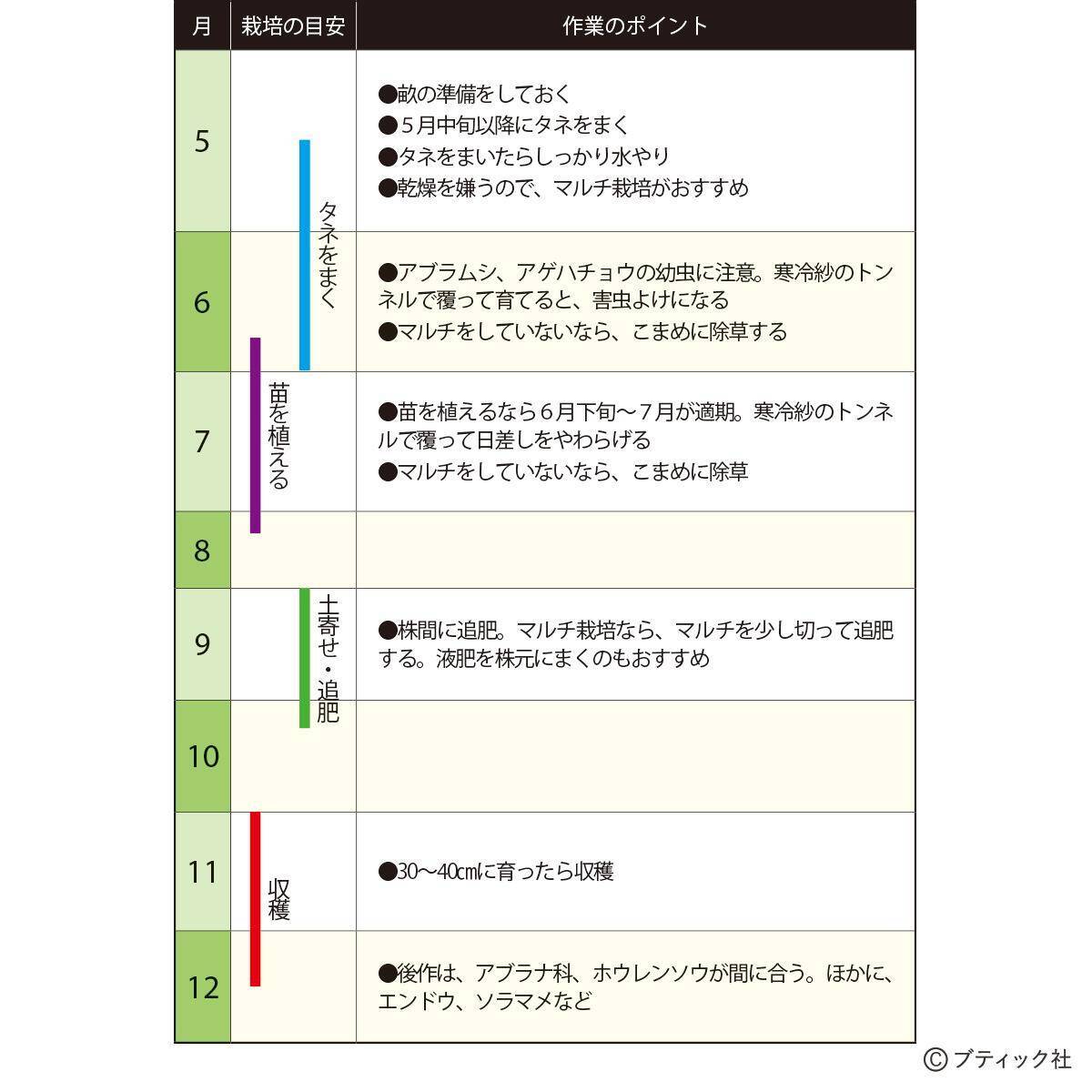 「セロリ」」の育て方・コツ（家庭菜園）