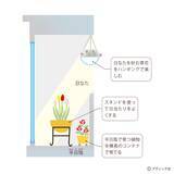 「「ベランダガーデンの四季」を解説」の画像2