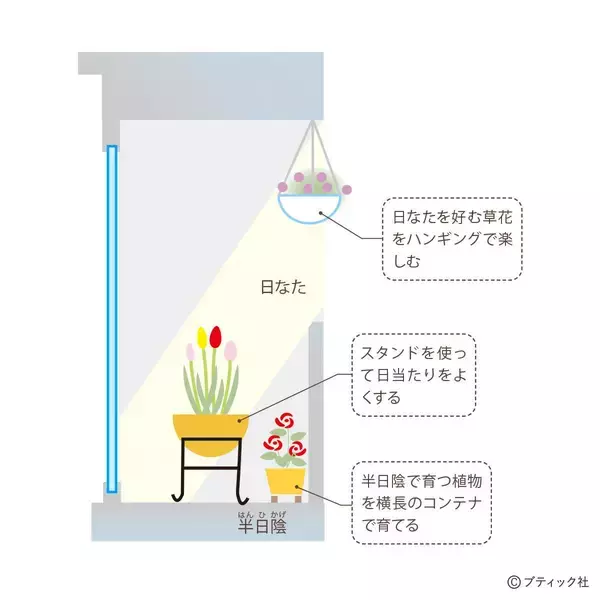 「「ベランダガーデンの四季」を解説」の画像