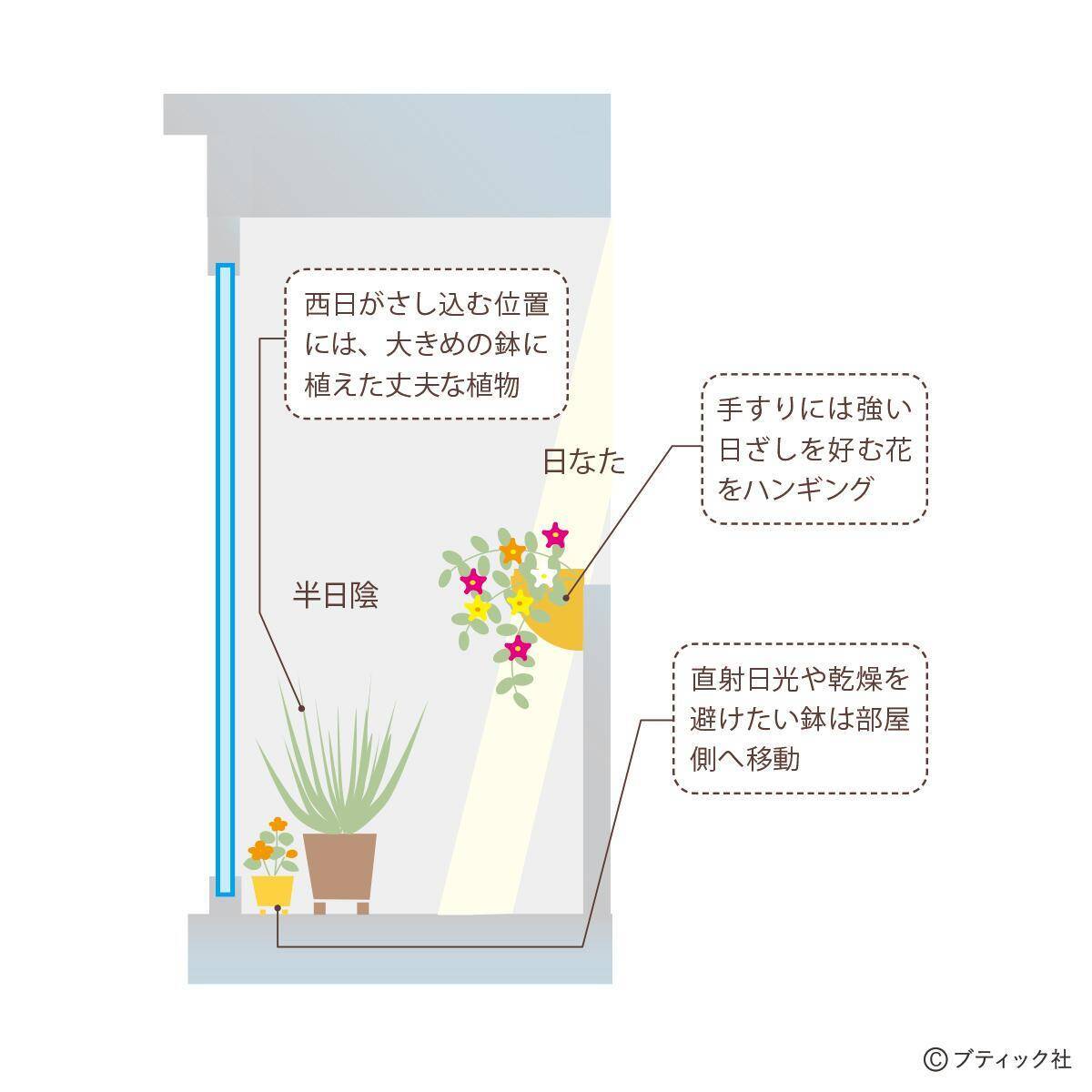 「ベランダガーデンの四季」を解説