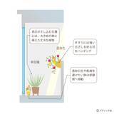 「「ベランダガーデンの四季」を解説」の画像4