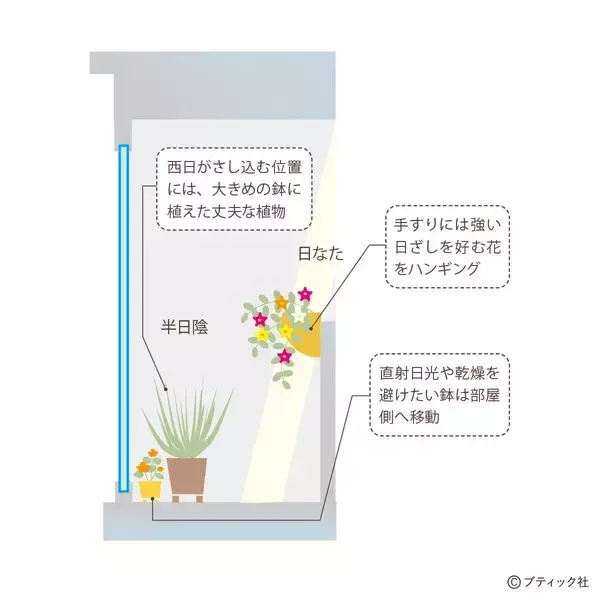 「「ベランダガーデンの四季」を解説」の画像