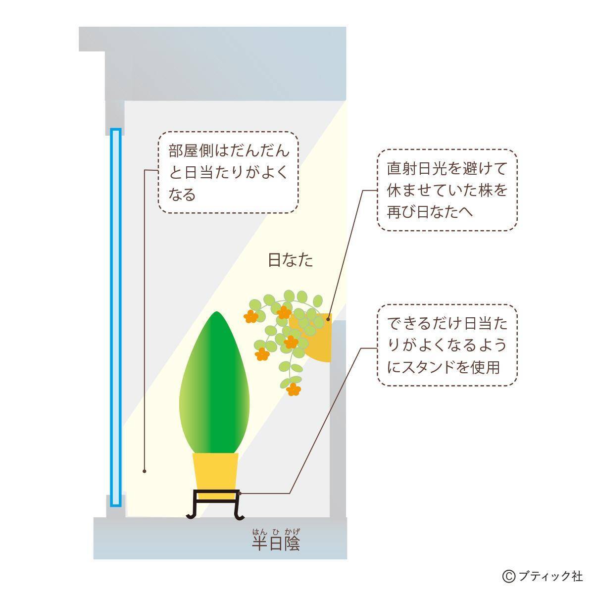 「ベランダガーデンの四季」を解説