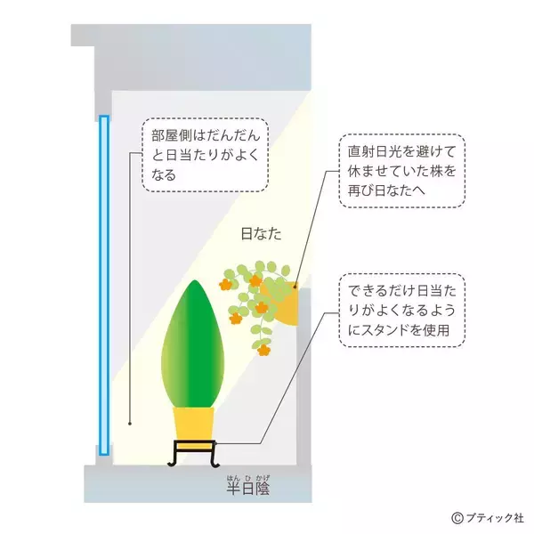 「「ベランダガーデンの四季」を解説」の画像