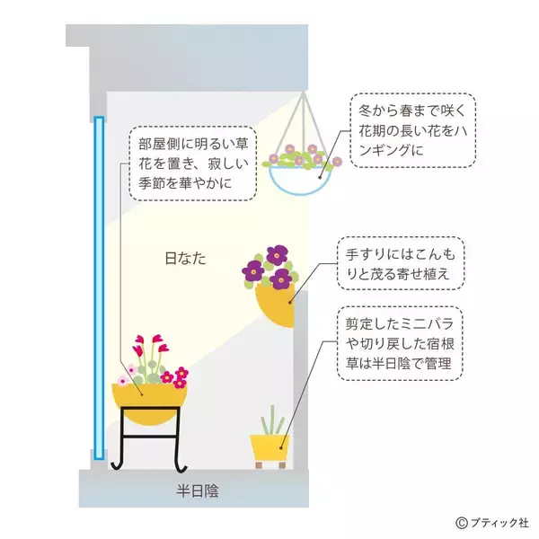「「ベランダガーデンの四季」を解説」の画像