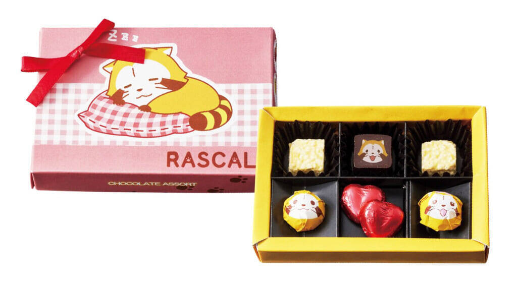ラスカルのバレンタイン向け商品が発売！かわいすぎるパッケージのチョコアソート、チョコ入りポーチやボトルなど全9アイテム