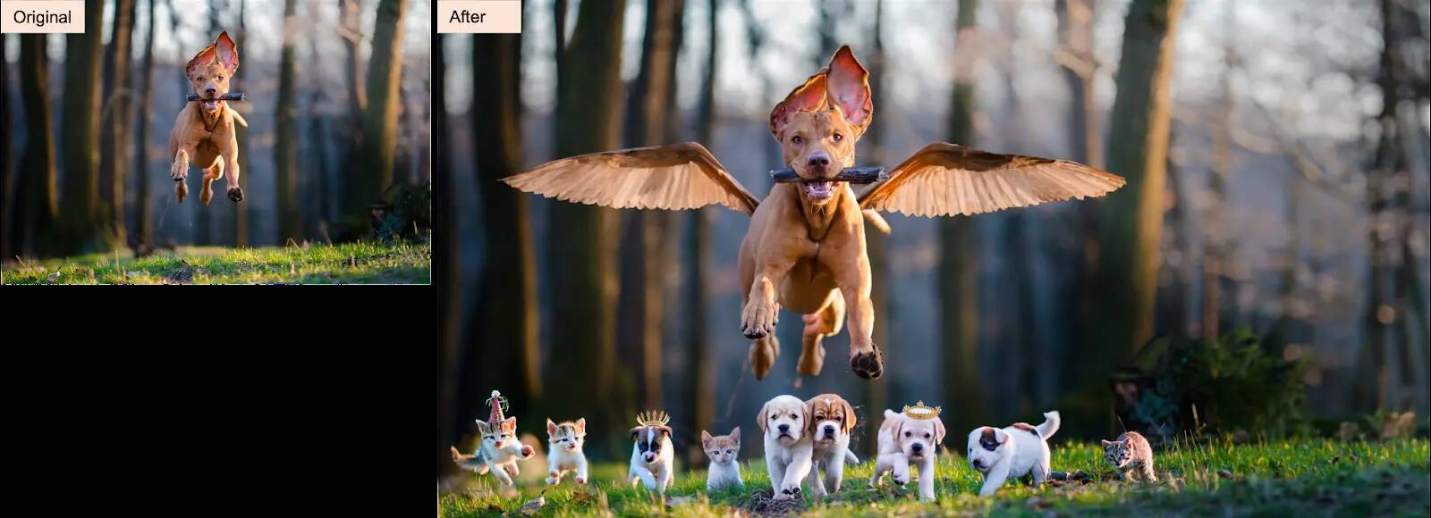 フォトショップのベータ版に「テキストを入力して画像を編集・加工」できる新機能が登場。AdobeのジェネレーティブAIを活用し、VFXのような表現を手軽に実現できる