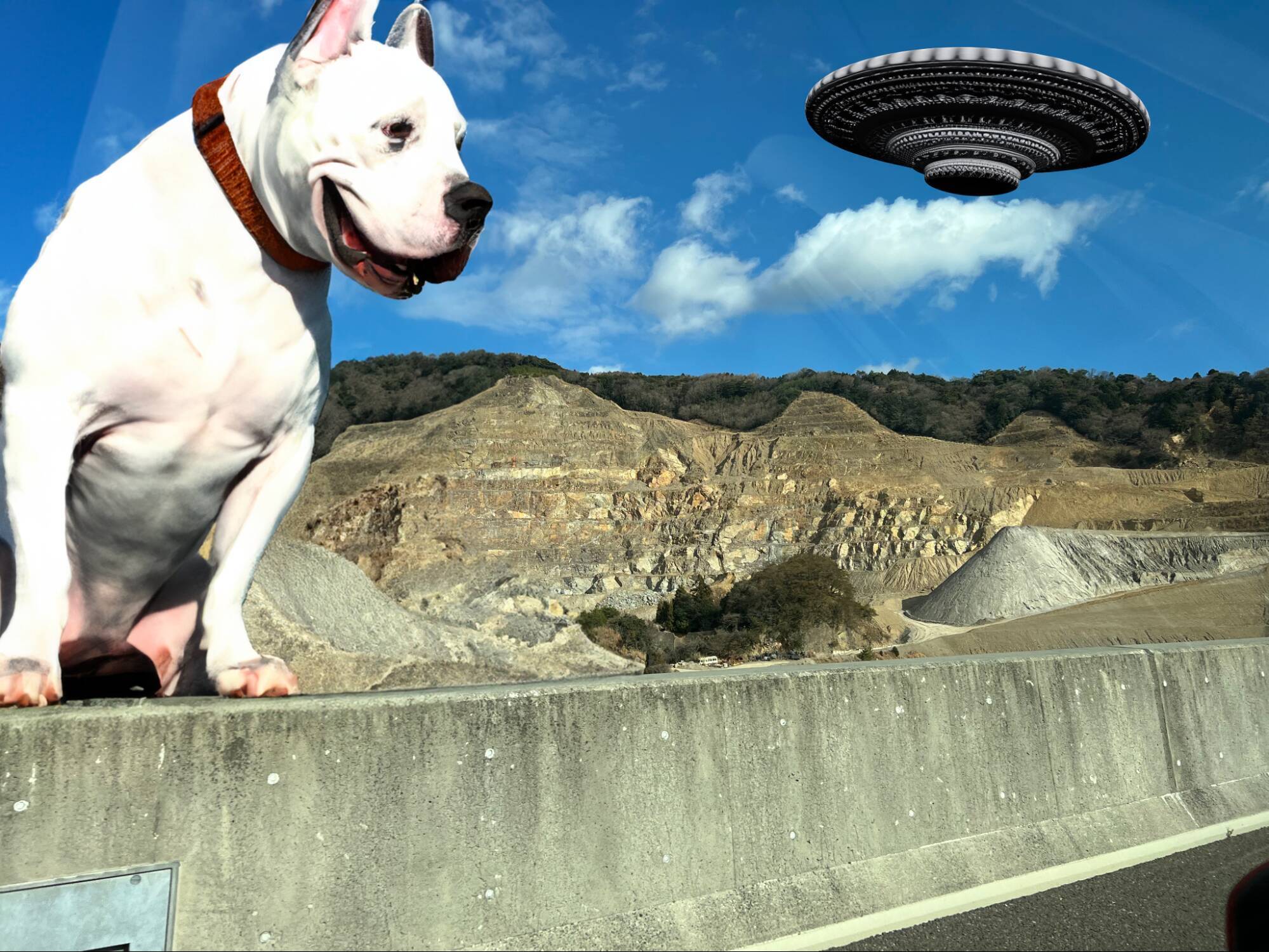 フォトショップのベータ版に「テキストを入力して画像を編集・加工」できる新機能が登場。AdobeのジェネレーティブAIを活用し、VFXのような表現を手軽に実現できる