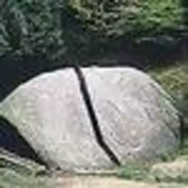 「『鬼滅の刃』効果で人気が過熱！"聖地巡礼"で話題のスポットはここ【竈門神社、博物館明治村etc.】」の画像