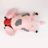 「かわいさも不気味さも両立♪『ドロヘドロ』魔法を使う謎の生き物『キクラゲ』のふわふわぬいぐるみが発売決定！」の画像4