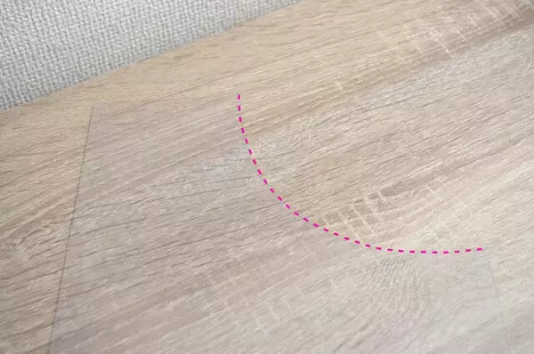 「【ダイソー】100均グッズでエモ写真が撮れるワザ。プロカメラマンも実践！」の画像