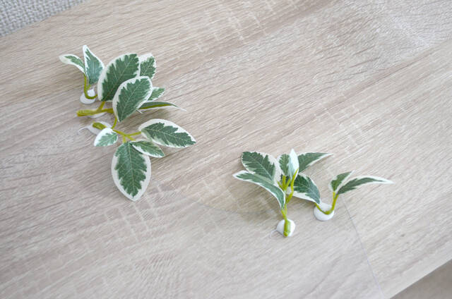 【ダイソー】100均グッズでエモ写真が撮れるワザ。プロカメラマンも実践！