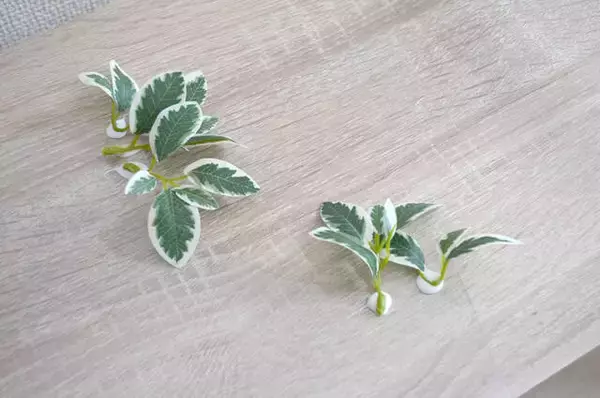 「【ダイソー】100均グッズでエモ写真が撮れるワザ。プロカメラマンも実践！」の画像