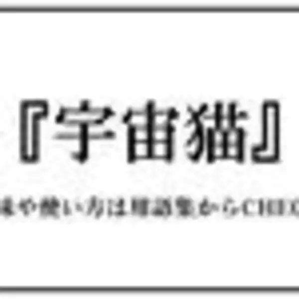 「ぬこ（ぬこ）」の画像