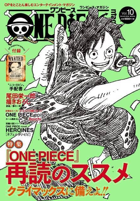 One Piece 麦わらの一味にはもう一人加入する 初期設定画に描かれている人物は 年10月5日 エキサイトニュース