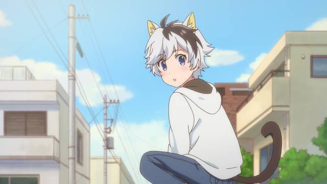 斉藤壮馬、小野賢章ら出演の新アニメ『うちタマ?! ～うちのタマ知りませんか？～』第2弾CM解禁！