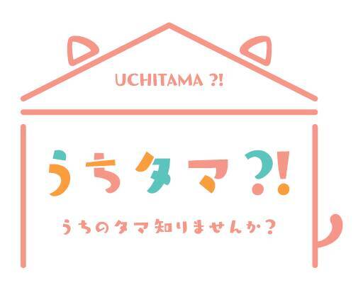 斉藤壮馬、小野賢章ら出演イベントの開催も！『うちタマ?! ～うちのタマ知りませんか︖』Blu-ray＆DVD発売決定！