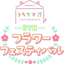 斉藤壮馬、小野賢章ら出演イベントの開催も！『うちタマ?! ～うちのタマ知りませんか︖』Blu-ray＆DVD発売決定！